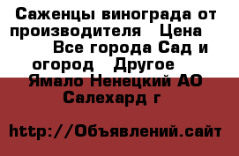 Саженцы винограда от производителя › Цена ­ 800 - Все города Сад и огород » Другое   . Ямало-Ненецкий АО,Салехард г.
